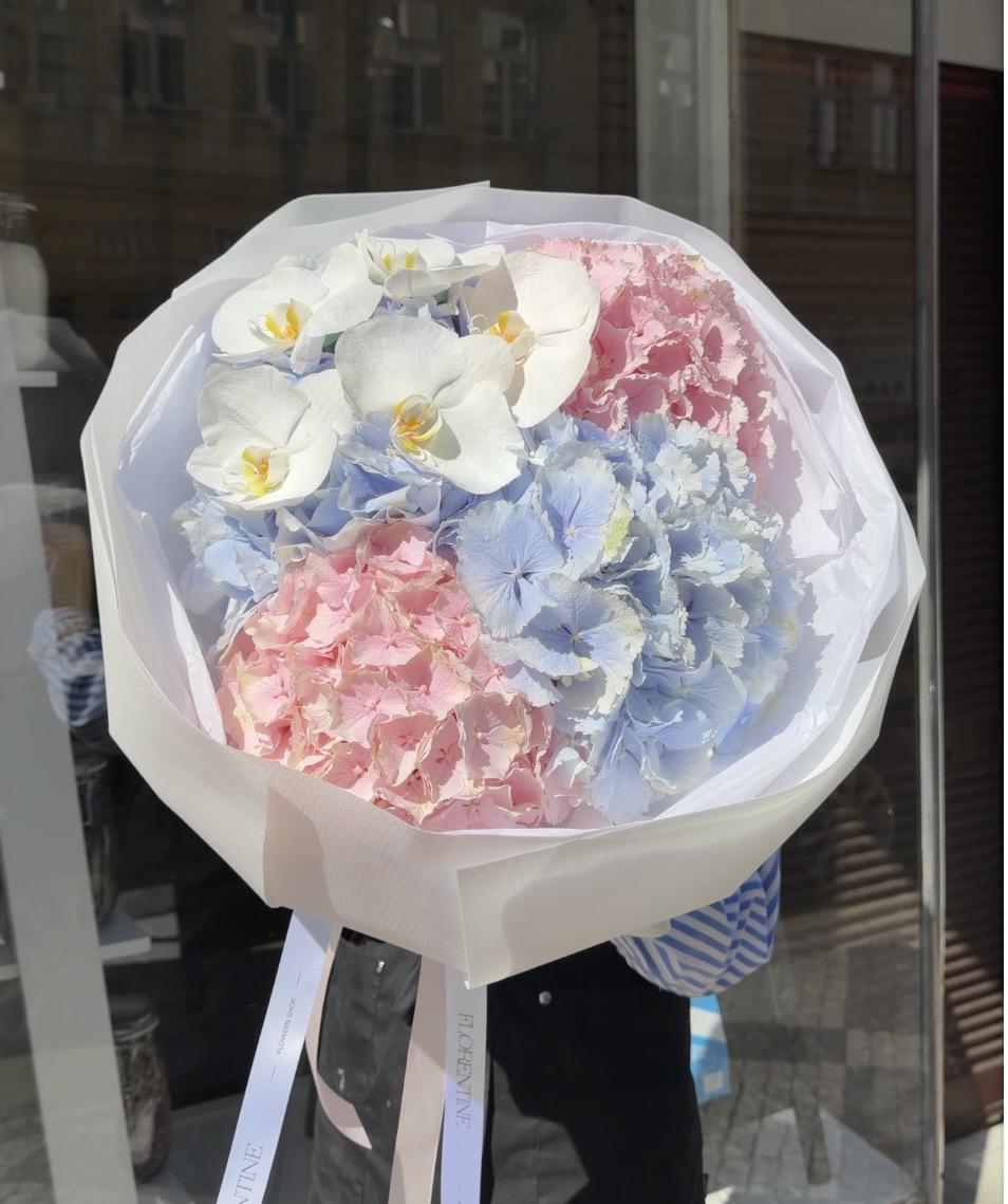 Pastel Bloom